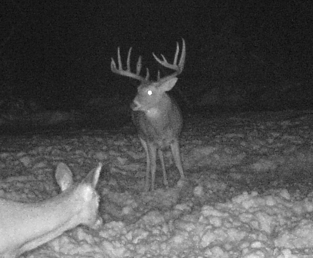 The best Saskatchewan deer hunts producing the biggest trophy whitetails.